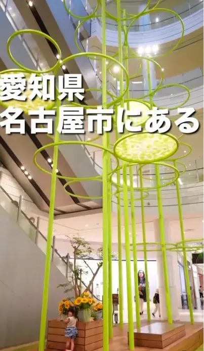 mozoワンダーシティのSNS動画制作のワンカット