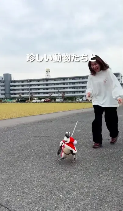 アニマルカフェ不可思議のSNS動画作成シーン