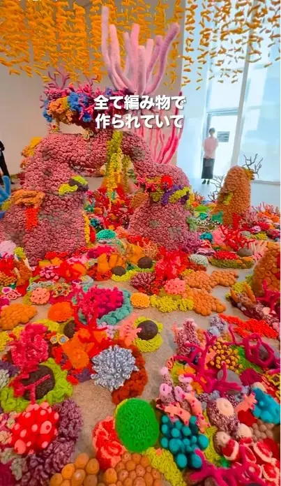 国際芸術祭あいち2025のSNS動画制作のワンカット