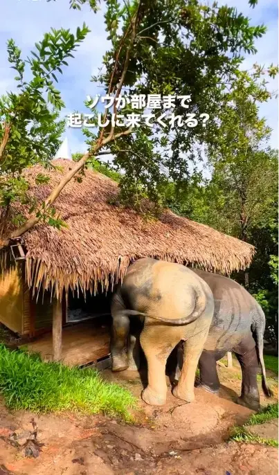 The Chai Lai OrchidのSNS動画作成シーン