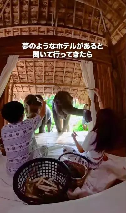 The Chai Lai OrchidのSNS動画の映像シーン