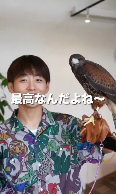 アニマルカフェ ExoHouse動画制作シーン