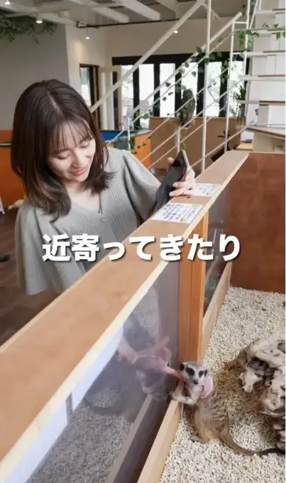 アニマルカフェ ExoHouse動画の映像シーン